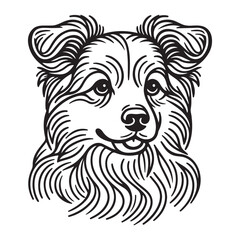 The breed of Scottish terrier dog