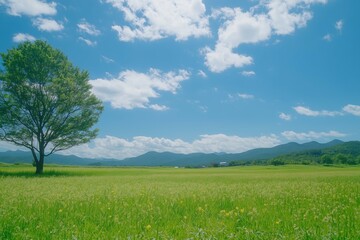 Fototapeta premium A green grassy meadow with a tree and a blue sky with clouds