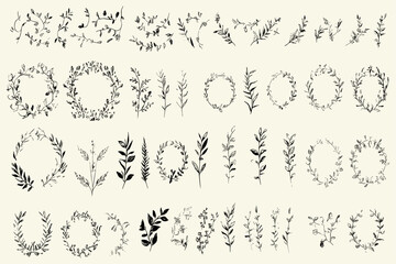 Wedding invitation floral wreaths, vintage hand-drawn botanical borders, branches, flowers, vector isolated elements, floral dividers