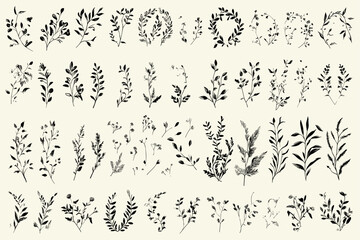 Collection of vintage botanical borders, hand-drawn floral dividers, flowers, branches, vector isolated elements, wedding laurel wreaths
