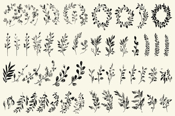 Floral dividers, vintage hand-drawn botanical borders, flowers, branches, isolated vector elements, wedding laurel wreaths