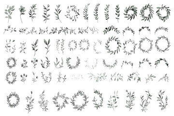 Floral dividers, vintage hand-drawn botanical borders, flowers, branches, isolated vector elements, wedding laurel wreaths
