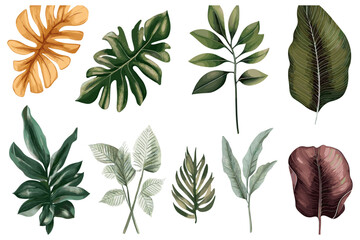 Tropical Leaves Collection, a Stunning Vector Set Featuring a Wide Range of Detailed Leaf Designs for Creative Projects and Illustrations