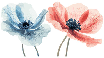 Anemone in Faded Red and Blue Tones, Vintage Floral Design for Adding Charm and Sophistication to Your Space
