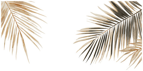 Muted Natural Tones Palm Leaf Botanical Illustration, Bohemian Style for Vintage Home Decor, Adding a Natural Element to Any Space