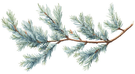 Seasonal home decor enhanced by vintage botanical art of a cedar tree branch, soft blue-green needles adding a timeless touch