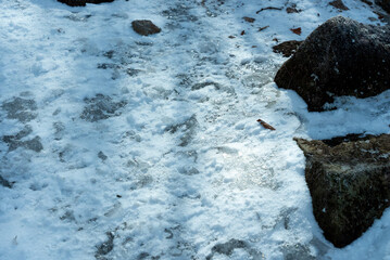 アイスバーン01