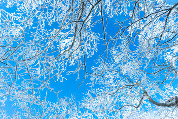 赤城山の雪晴れ04