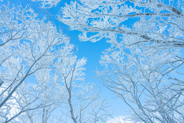 赤城山の雪晴れ10