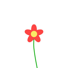 red flower isolated on white