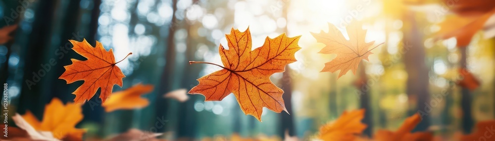 Poster vibrant autumn leaves blanketing the forest floor creating a colorful tapestry of nature with warm h