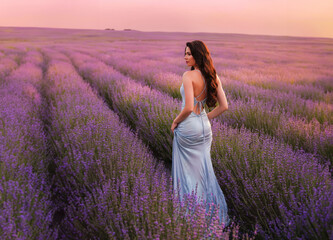 Woman with long hair in sky blue long dress in lavender field at pink sunset. Back view.