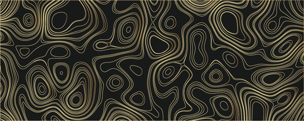 Sleek and Contemporary Topographic Line Art with Smooth Terrain Contours and Soft Transitions

