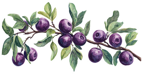Vintage botanical decor featuring ripe purple plums, a plum tree branch, green leaves, and soft pastel hues, creating a warm, classic atmosphere for your space.