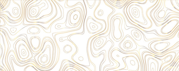 Fototapeta premium Highly Textured and Artistic Topographic Vector with Layered Contours and Engraved Precision