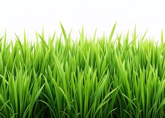 Fototapeta premium Lush Green Grass Border, Hand-Drawn Watercolor Style, Isolated on White Background for Design