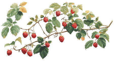 Raspberry bush vintage botanical illustration with soft green leaves, ripe berries, and a calming palette of natural tones. © aura studio