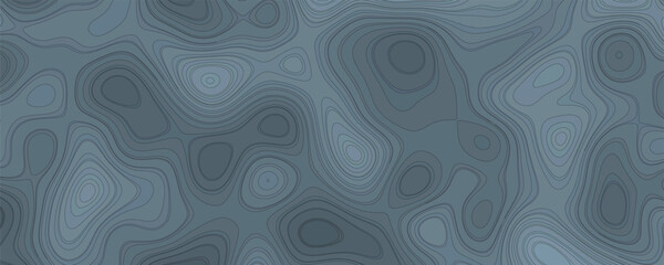 Antique and Traditional Topographic Illustration with Engraved Details and Timeless Appeal

