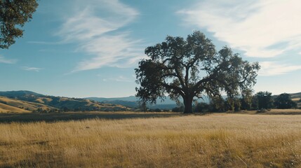 Obraz premium A scenic view of rolling hills and a majestic tree under a partly cloudy sky