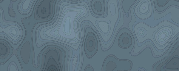 High-Contrast Black and White Topography Vector with Clean Elevation Linework and Precision

