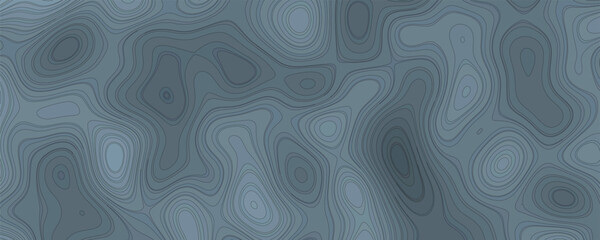 High-Contrast Black and White Topography Vector with Clean Elevation Linework and Precision

