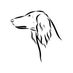 Taz Greyhound dog - isolated vector illustration