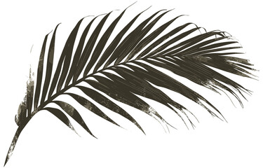 Palm Frond Vintage Illustration, Neutral Sepia Tone Vector Art, Hand-Drawn Palm Leaf Design, Retro Tropical Style, Nature-Inspired Botanical Illustration, Tropical Art for Print