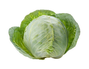 Fototapeta premium fresh green cabbage, whole organic vegetable, crisp leafy produce, nutritious cruciferous superfood, healthy cooking ingredient, on isolated background 