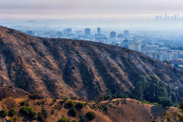 Charred Hills of Runyon Canyon with Smoky Los Angeles Skyline