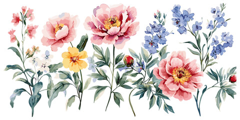 Watercolor illustration of pink peonies and botanical elements, surrounded by a floral collection with soft hues, isolated on a pure white background, capturing delicate beauty. © aura studio