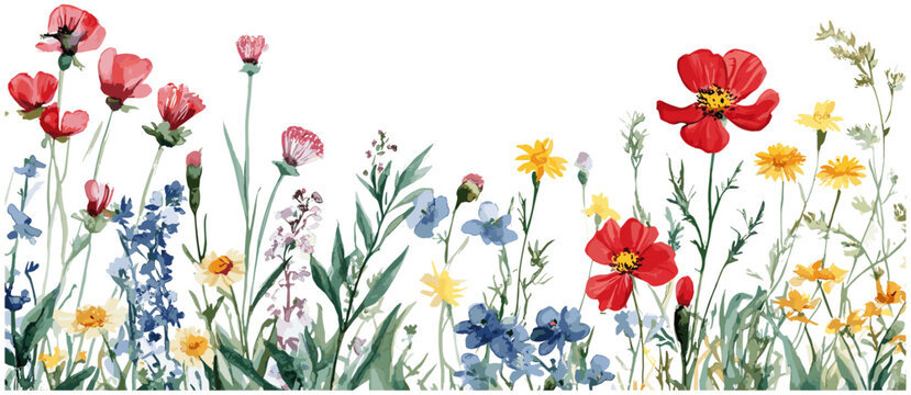 Hand drawn botanical wild flowers watercolor frame with intricate detailed illustration showcasing vibrant colors and delicate design