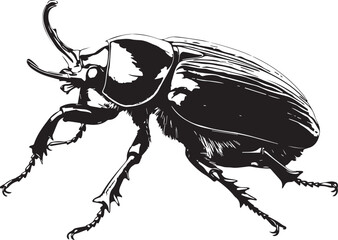 Set of beetles. Hand drawn vector illustration