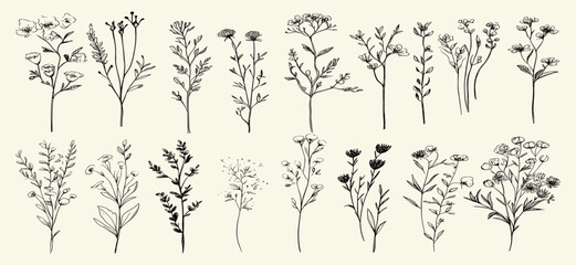 Botanical wildflowers clipart for wedding invites, drawn floral bouquets, minimal line art, leaves, flowers, herbs, trendy vector illustration for logos