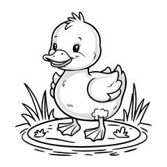 duck 