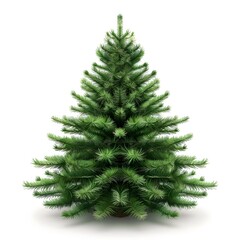 Fototapeta premium Lush Green Christmas Tree Isolated on White Background for Decoration
