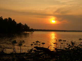 Evening sun casts golden light across the water and the seaside trees.