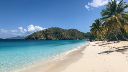 Fototapeta premium Tropical Island Beach with Palm Trees and Pristine Blue Waters