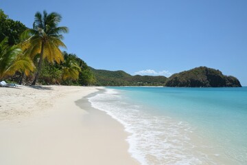 Fototapeta premium Tropical Island Beach with Palm Trees and Pristine Blue Waters