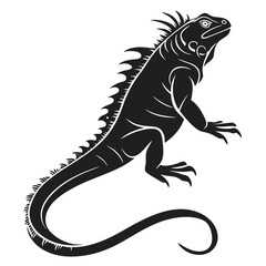 Marine Iguana  vector silhouette black design white background