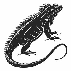Marine Iguana  vector silhouette black design white background
