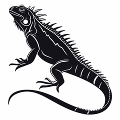 Marine Iguana  vector silhouette black design white background