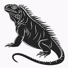 Marine Iguana  vector silhouette black design white background