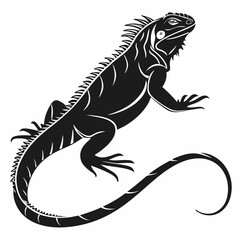 Marine Iguana  vector silhouette black design white background
