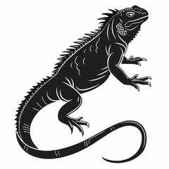 Marine Iguana  vector silhouette black design white background