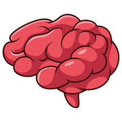 Cartoon human brain organ on white background