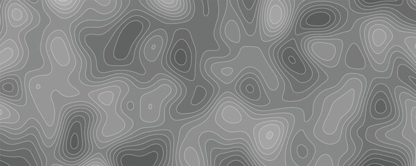 Dynamic and Expressive Topographic Vector Artwork with Organic Movement and Smooth Line Transitions

