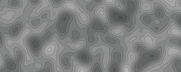 Highly Detailed Cartographic Terrain Illustration with Meticulous Contours and Elevation Depiction

