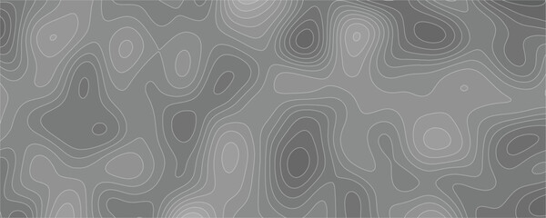 Contemporary High-Contrast Topographic Contour Map with Elegant Line Work and Depth Effects

