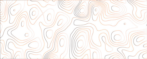 Timeless Vintage-Style Topography Illustration with Historic Map Design and Engraved Textures

