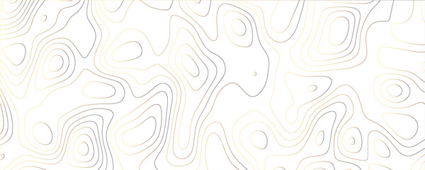 Minimalistic and Stylish Topographic Vector Art with Simplified Contours and Modern Appeal

